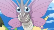Venomoth as seen in the anime (Image via The Pokemon Company)